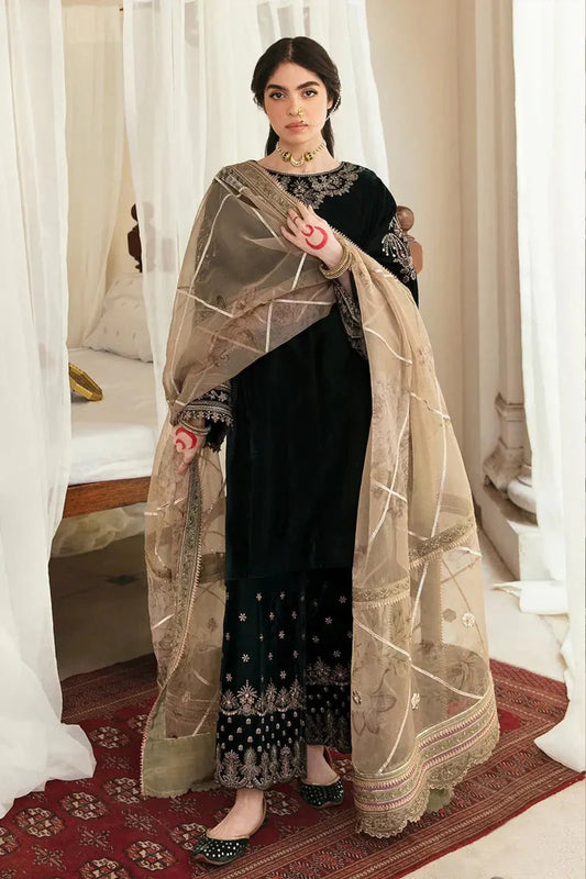 QN1118-Winter Embroidered Velvet Dress With Organza embroidered Dopata